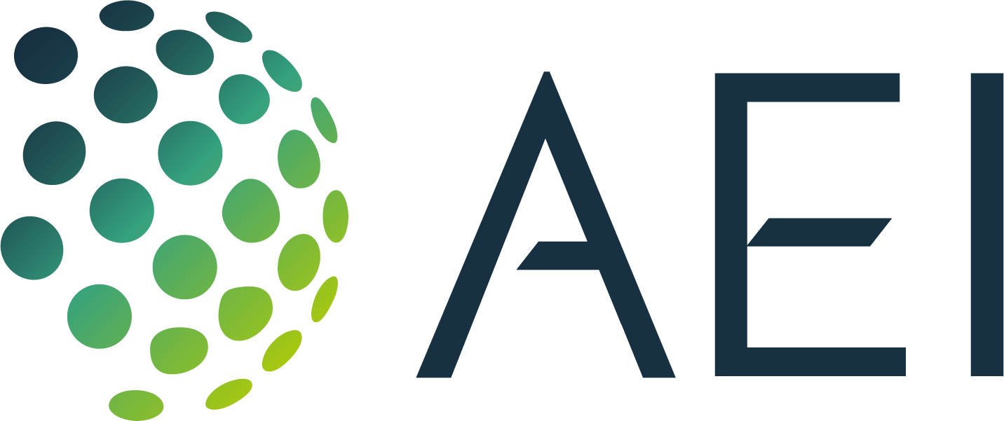 AEI Logo Full Color No Tag